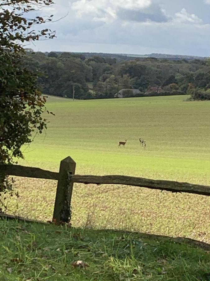 Bootmenders B&B Petersfield Luaran gambar